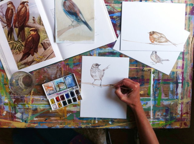 Vogels tekenen